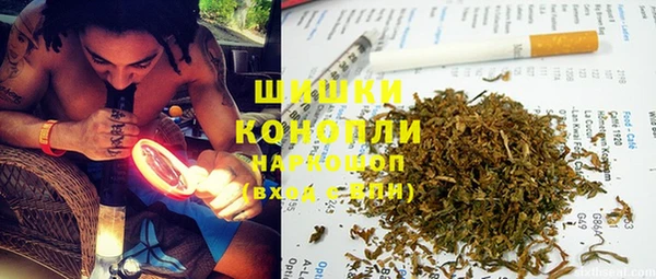 ECSTASY Богданович
