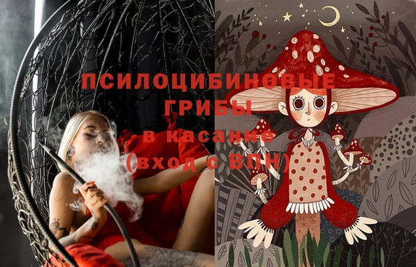 ECSTASY Богданович