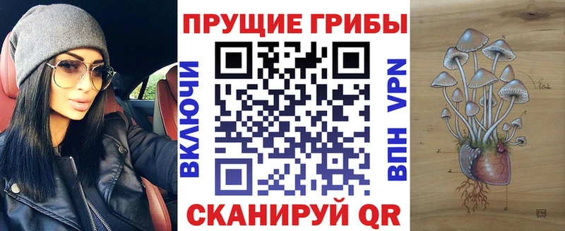 хочу наркоту  Могоча  Псилоцибиновые грибы прущие грибы 